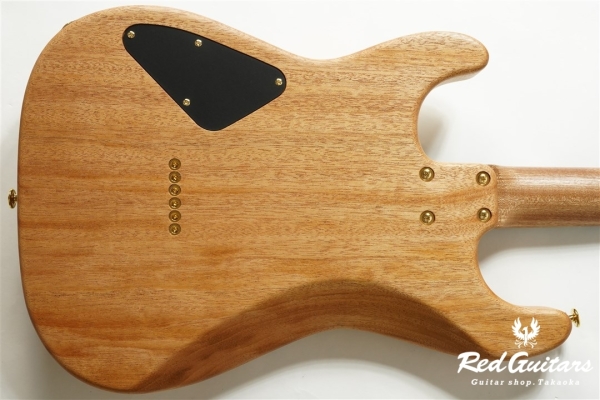 ROSETTA VESSEL-’21WSE OSG NA/OIL 【Deviser One Day Guitar Show 2021】